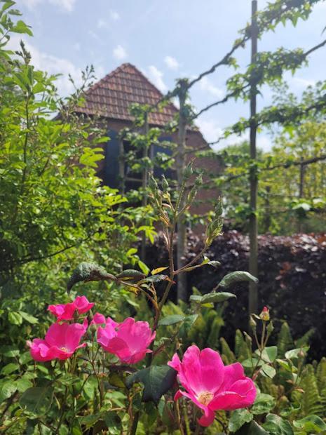 Studio Nok Bij Den Bosch Den Dungen Kültér fotó